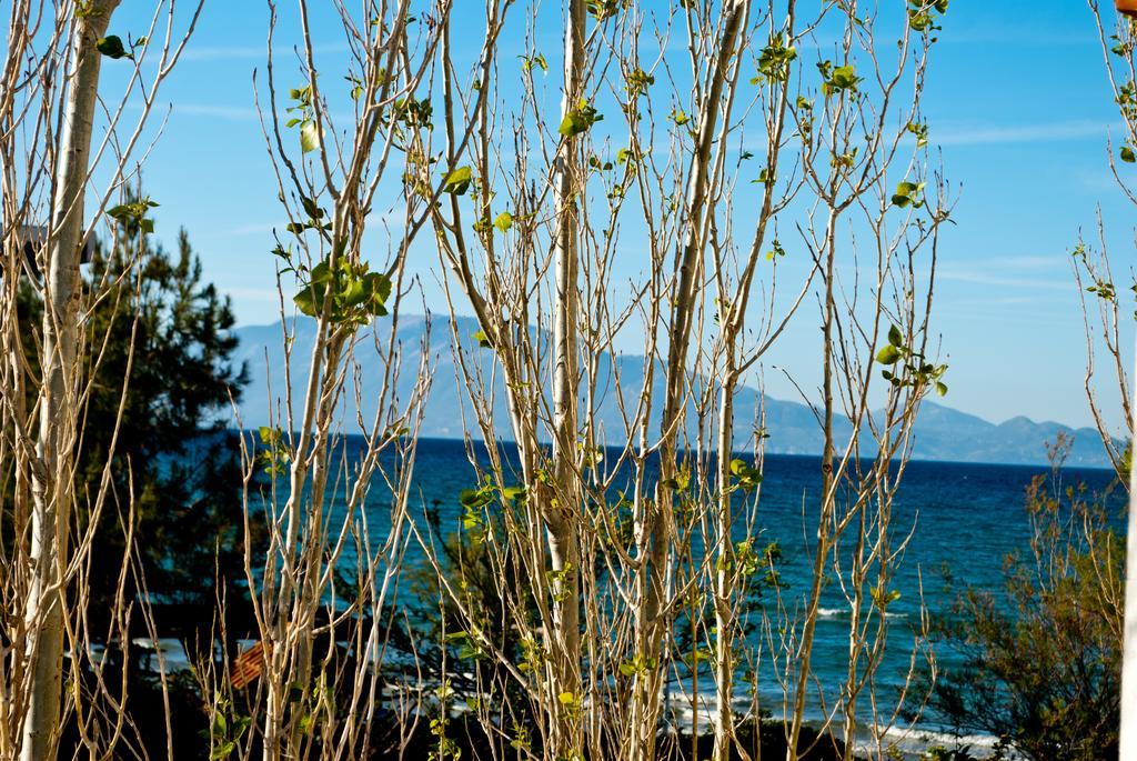 Sea Sight Apartment Alykes  Exterior foto